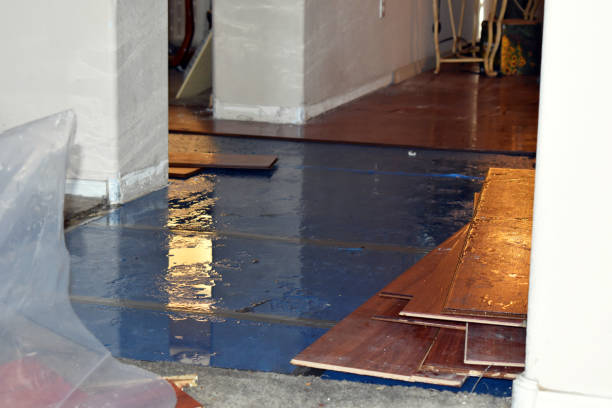 Professional Flood Damage Repair technician working in Fairfield, TX